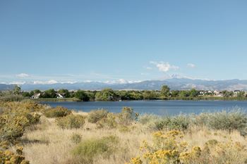 a view of a lake with mountains in the background